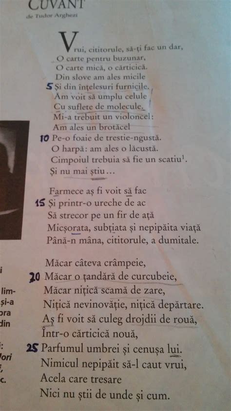 poezia tatăl meu de tudor arghezi